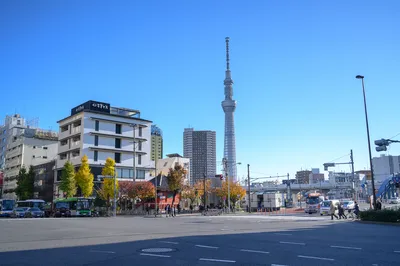 東京citywalk