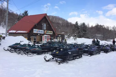 Wonderland Sapporo