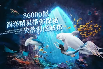 三亞亞特蘭蒂斯失落的空間水族館
