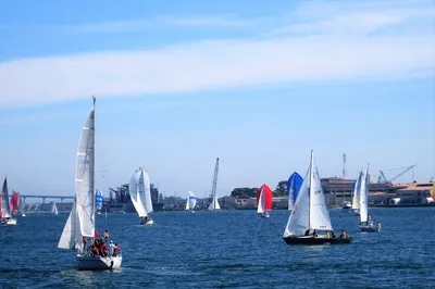 Harbor Island Park