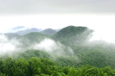 Laoshan National Forest Park of Nanjing