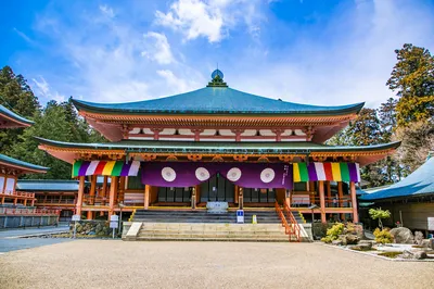 日本自由行8000塊輕鬆玩兒~骨灰級攻略·解決你出行前的擔心丨出行前先來這囤貨！