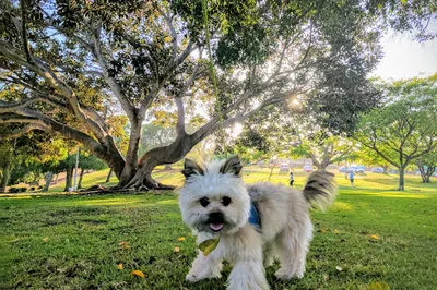Pioneer Park