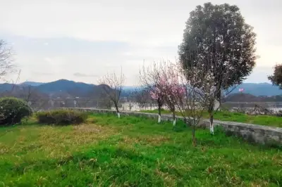 如果可以，我想请你来太极湖看看云