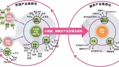 Green Dimension Case: How to Effectively Leverage the 'Health and Wellness' Theme in a Rural Pastoral Complex?