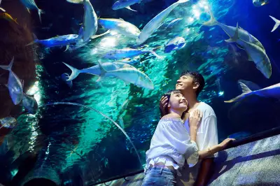 Undersea Tunnel