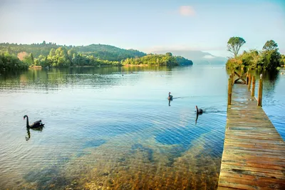 Lake Tarawera