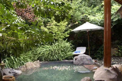 Lvwei Cultural Tourism: Key Points in Hot Spring Operation Management