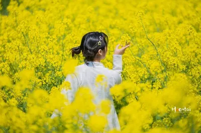 興化「掃黃」行動，美景、美食和人文，一個都不能少！