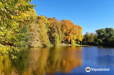 Lefortovo Park