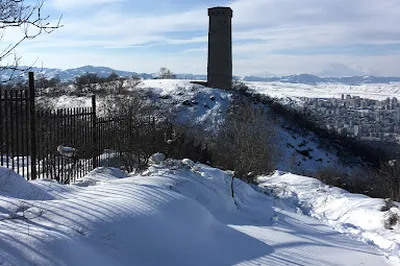 Svan Tower