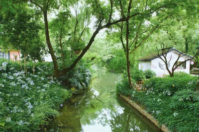 A Green World, a Sea of Flowers: 24 Hours of Indulging Yourself at Shili Fangfei