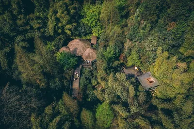 成都周邊親子遊|帶孩子回歸自然，住進精靈的樹屋裡