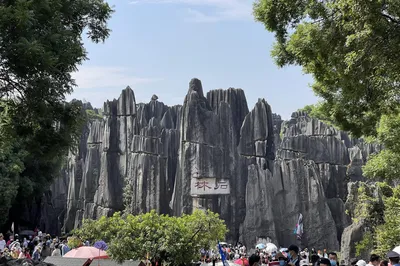 Two People, One City: Stone Forest