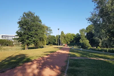 Ozo Park