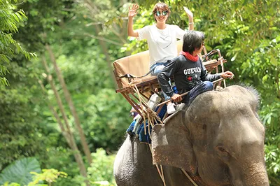 Prayai Changthai Elephant Camp