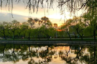 Morarilor Park