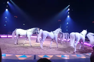 Circus Krone