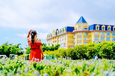 Nansha, Guangzhou: Step into the 'Bird Paradise,' the Kidney of the Earth — Delicious Food, Fun, and Relaxation!