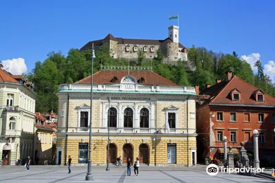 Stari trg