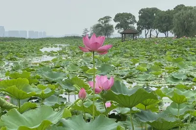 苏州，温婉中的一点点豪1