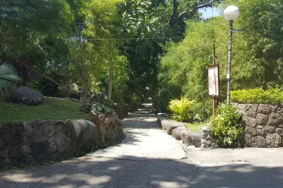 Mary Immaculate Parish - Nature Church