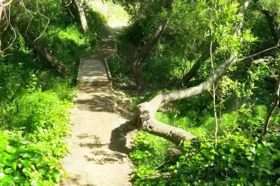 Glen Canyon Park