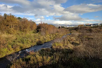 Elliðaárdalur