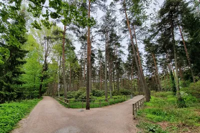 Haaga Rhododendron Park