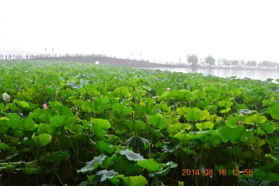 上海出发，2014杭州自驾2日游（净慈寺、萧山湘湖、西湖、文澜阁、白堤、断桥残雪）