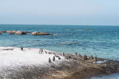 Foxy Beach