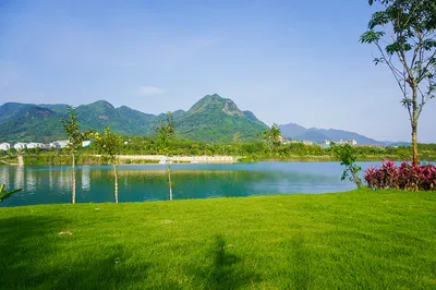 Stay at Forest Sea Hot Spring Resort and Embrace a Spring Vacation