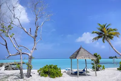 Bikini Beach