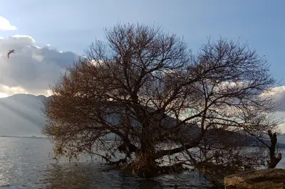 双廊的星空 洱海的漫时光~