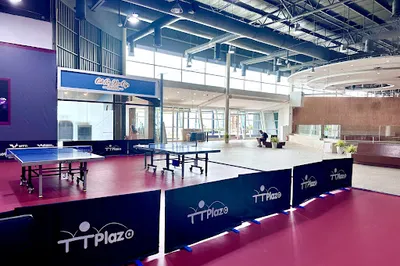 Table Tennis Plaza
