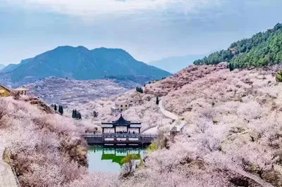 大嶗櫻桃谷