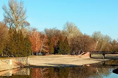 Baum grove
