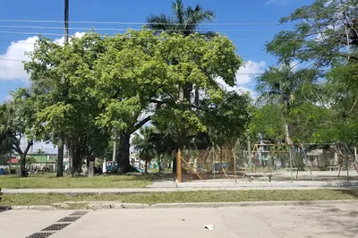 Palatino Park