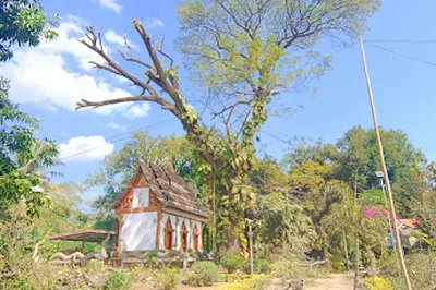 Xingxu island Buddhist Temple