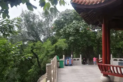 在郑州周末能去哪里玩？这些景点恢复开放啦！真期待