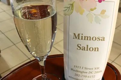 Mimosa Salon