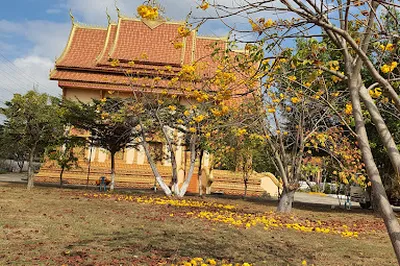 Wat Dongphosy
