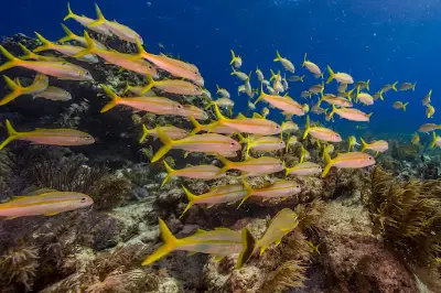 Biscayne National Park Institute at Coconut Grove