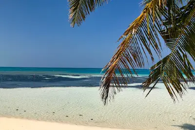 Dhiffushi