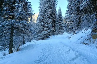 Kazachka Gorge