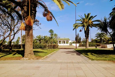 ALESCO Garden
