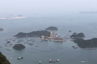 第2162回：石芽嶺被高樓羣圍，五行線毛棉杜鵑花