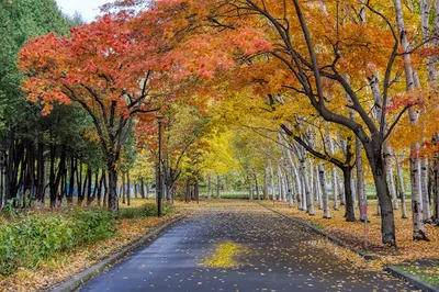 Tonden Nishi Park