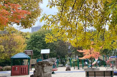 Eglinton Park