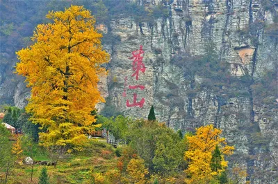 湖北最應該去的一座山，武當山（太和山）上有家賓館！